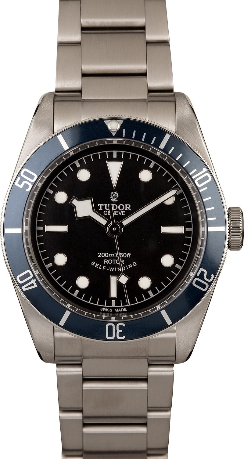 Fake Tudor Heritage Black Bay 79220B WE00419