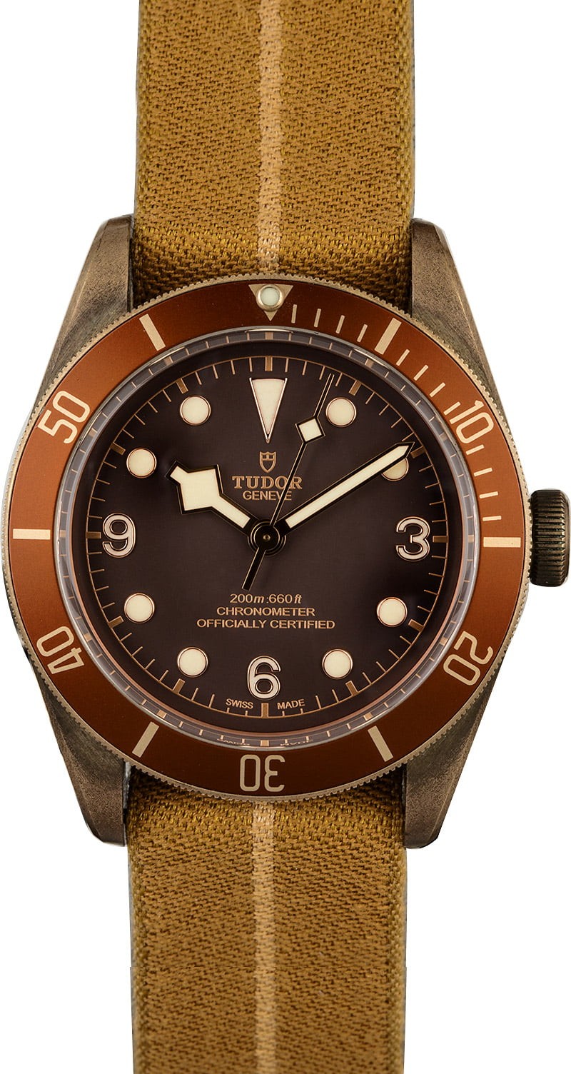 Replica Tudor Heritage Black Bay 79250BM Bronze Case WE04064