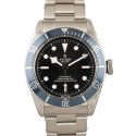 Fake Tudor Black Bay 79230B WE02995