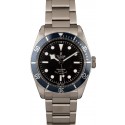 Fake Tudor Heritage Black Bay 79220B WE00419