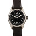 High Quality Imitation Oris Big Crown Timer 44MM WE03884