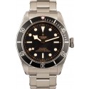 High Quality Replica Tudor Heritage 79230 Black Bay WE01708