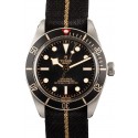 Imitation 1:1 Mens Tudor Heritage Black Bay 79030N WE00349