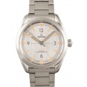 Imitation 1:1 Omega Railmaster Co-Axial Master Chronometer WE03421