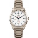 Imitation Omega Seamaster Aqua Terra GoodPlanet GMT WE01810