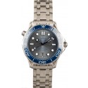 Imitation Omega Seamaster Diver 300M Grey Wave Dial WE01161