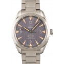 Knockoff Omega Seamaster Railmaster WE04575