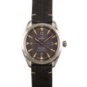 Omega Railmaster Co-Axial Master Chronometer 220.12.40.20.01.001 WE00467