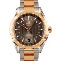 Omega Seamaster Aqua Terra Red Gold & Steel WE02653