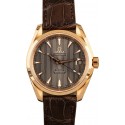 Omega Seamaster Aqua Terra Red Gold WE03045