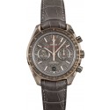 Omega Speedmaster Meteorite Dial 'Grey Side of the Moon' WE01593