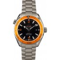 Replica Omega Seamaster Planet Ocean 600M Big Size WE01254