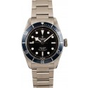 Replica Tudor Heritage Black Bay 79220B Blue Bezel WE01769