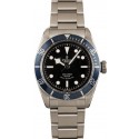 Replica Tudor Heritage Black Bay 79220B Steel Watch WE03514