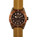 Replica Tudor Heritage Black Bay 79250BM Bronze Case WE04064