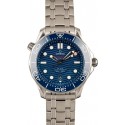 Top Omega Seamaster Diver Master Chronometer WE02432