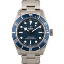 Tudor Black Bay WE01122