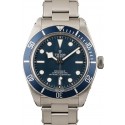 Tudor Heritage Black Bay 79030B WE00297