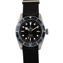 Tudor Heritage Black Bay 79220 Blue Bezel 41MM WE02114