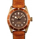 Tudor Heritage Black Bay Bronze 79250BM WE00073