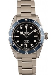 Cheap Tudor Heritage Black Bay 79220B Stainless Steel WE01506