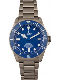 Copy Tudor Pelagos 25600TB Titanium Watch WE04111