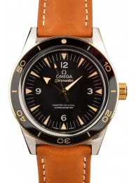 Fake Omega Seamaster 300 Master Co-Axial WE00565