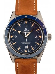 Fake Omega Seamaster Titanium Watch Blue Dial WE03434