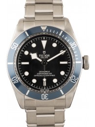 Fake Tudor Black Bay 79230B WE02995