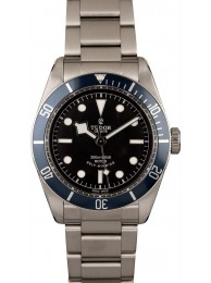 Fake Tudor Heritage Black Bay 79220B WE00419