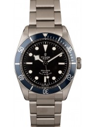 Fake Tudor Heritage Black Bay 79220B WE00419