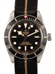 Imitation 1:1 Mens Tudor Heritage Black Bay 79030N WE00349