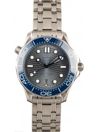 Imitation Omega Seamaster Diver 300M Grey Wave Dial WE01161