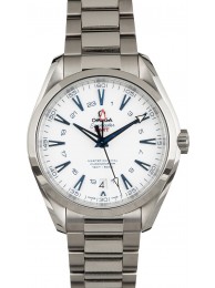 Knockoff Omega Seamaster Aqua Terra 150M GoodPlanet GMT WE02938