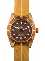 Knockoff Tudor Heritage Black Bay 79250BM Bronze WE02472