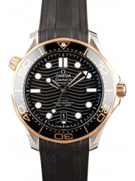 Omega Seamaster Ref 210.22.42.20.01.002 WE02708