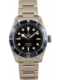 Replica Tudor Heritage Black Bay 79220B Blue Bezel WE01769