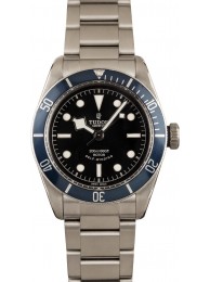 Replica Tudor Heritage Black Bay 79220B Steel Watch WE03514